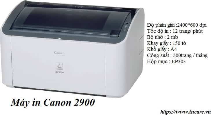 may in canon 2900